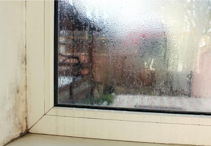 Condensation and Black Mould Growth in Homes Home Air Check